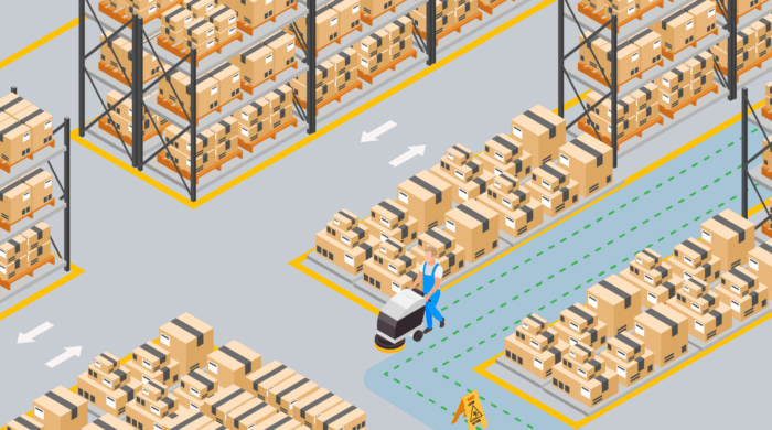 Inspection of service organizations